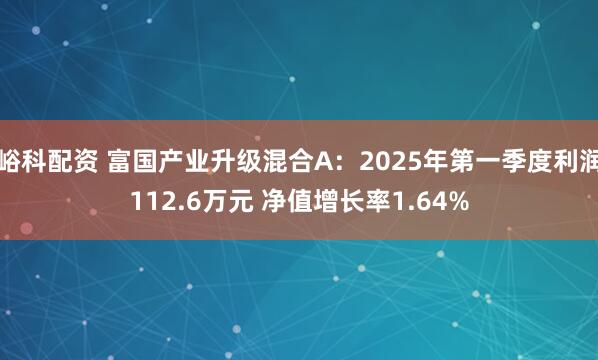 峪科配资 富国产业升级混合A：2025年第一季度利润112.6万元 净值增长率1.64%