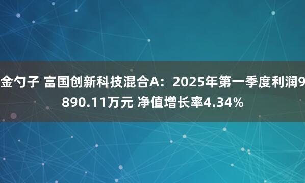 金勺子 富国创新科技混合A：2025年第一季度利润9890.11万元 净值增长率4.34%
