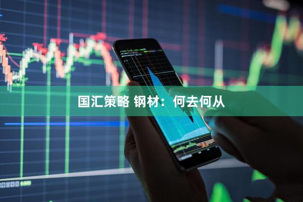 国汇策略 钢材：何去何从