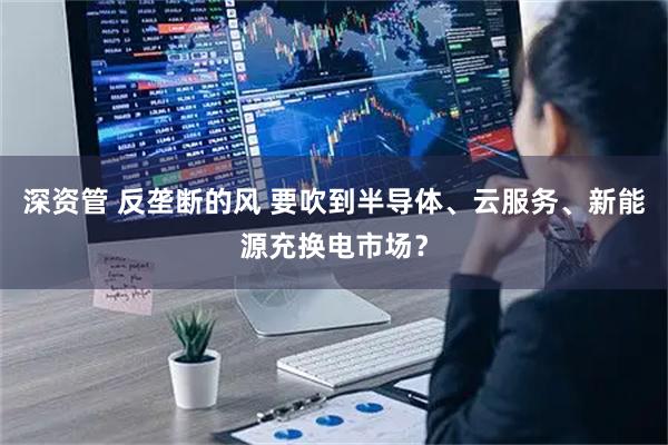 深资管 反垄断的风 要吹到半导体、云服务、新能源充换电市场？