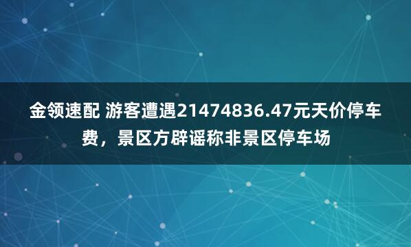 金领速配 游客遭遇21474836.47元天价停车费，景区方辟谣称非景区停车场