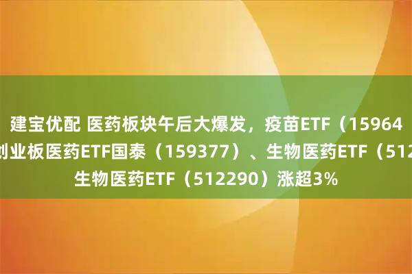 建宝优配 医药板块午后大爆发,疫苗ETF(159643)涨超5%,创业板医药ETF国泰(159377)、生物医药ETF(512290)涨超3%